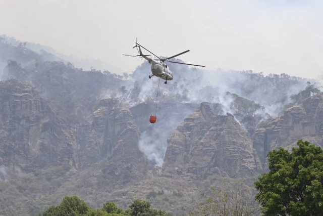 De los incendios forestales, los culpables somos todos