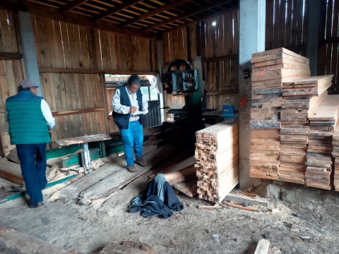 Profepa clausura y desmantela aserradero; asegura madera, maquinaria y vehículos en Huitzilac