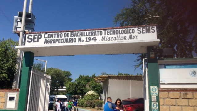 Solo el tres por ciento de los alumnos se incorporan de inmediato al mercado de trabajo.