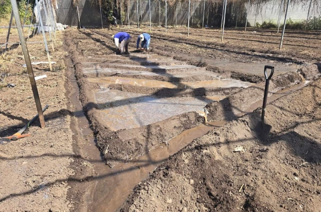 Preparan arroceros de Coatl&aacute;n primera siembra del a&ntilde;o