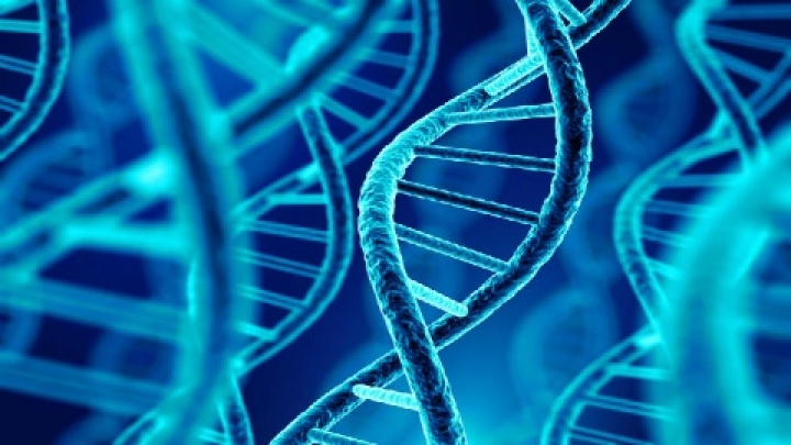 Identifican variante genética que predispone a padecer obesidad