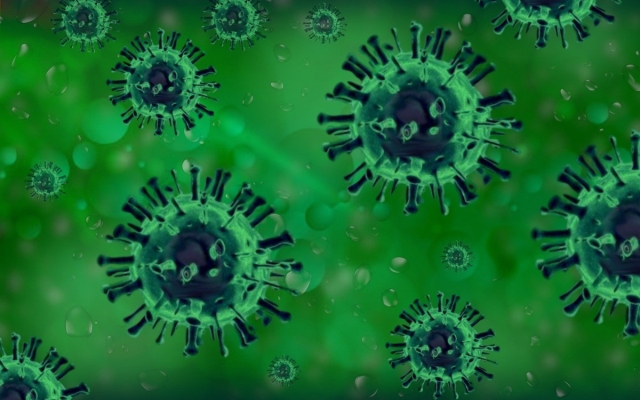 Estados Unidos registra primer fallecimiento humano por gripe aviar