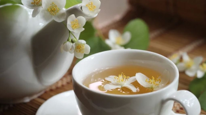 Té de jazmín: 7 Sorprendentes beneficios para tu salud física y mental