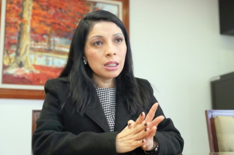 Nueva consejera jur&iacute;dica de Presidencia ser&aacute; Esthela Dami&aacute;n Peralta