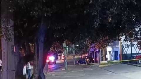 El joven quedó sin vida en el asiento del conductor del automóvil.