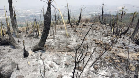 Avanza liquidaci&oacute;n del incendio en el ANP Sierra Montenegro
