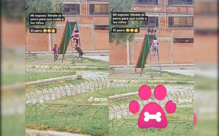 ¡Qué divertido! Captan perro jugando en una resbaladilla