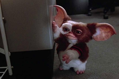 Steven Spielberg podría dirigir &#039;Gremlins 3&#039;, la esperada secuela que reviviría la icónica franquicia de los 80