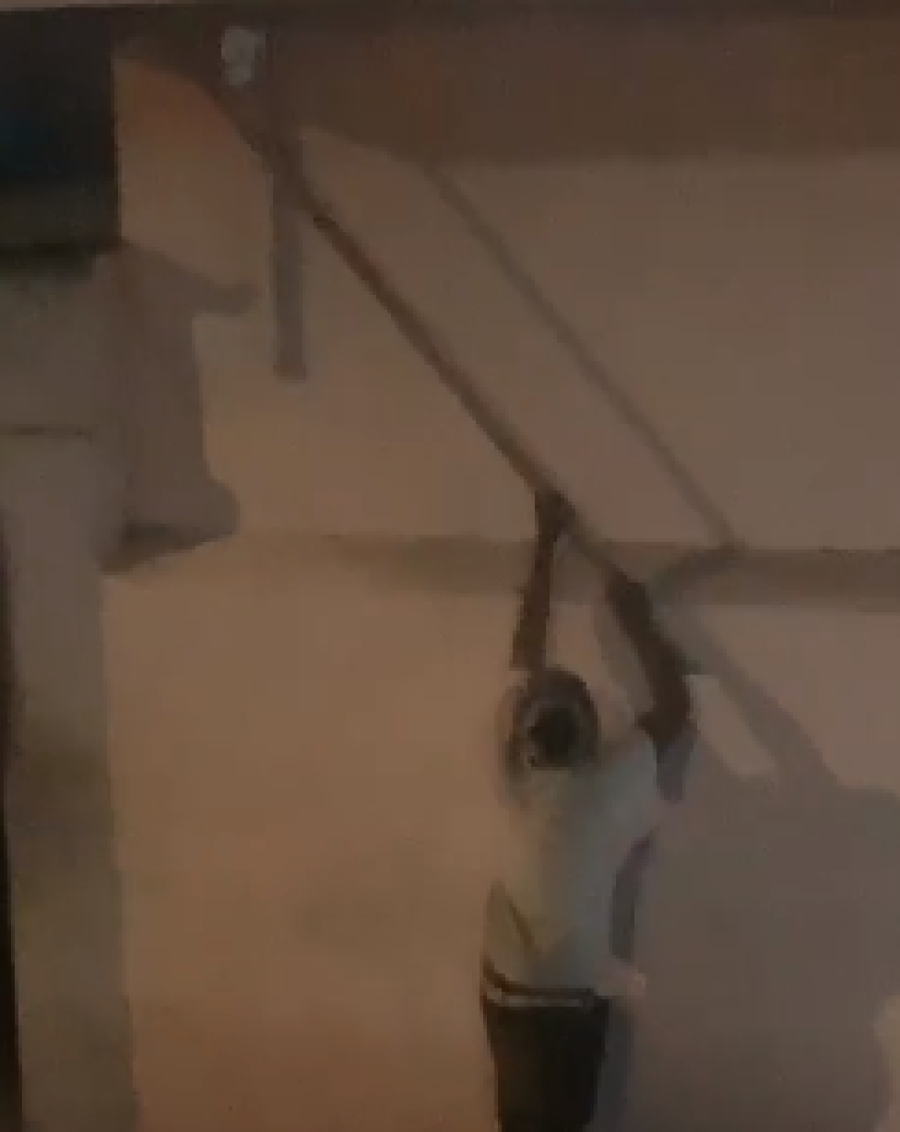Alertan vecinos de colonia Las Águilas en Cuernavaca de robo de cámaras de videovigilancia