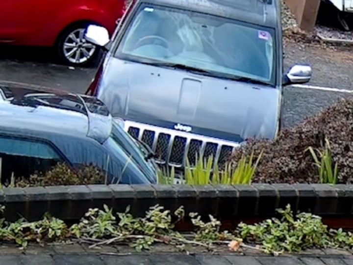 Perro choca el carro de su dueña