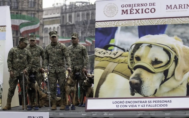 Rinden homenaje a Frida, la perrita, durante el desfile de la Revolución