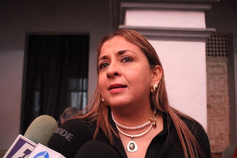 La coordinadora del Comité contra el Feminicidio, Ixlol Preciado Bahena. 