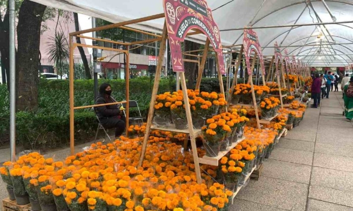 ¿Ya tienes todo para la ofrenda de este año? Lánzate al festival de las flores de cempasúchil en CDMX