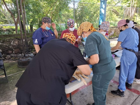 UNAM y gobierno de Amacuzac impulsan Jornadas de Salud Canina y Felina