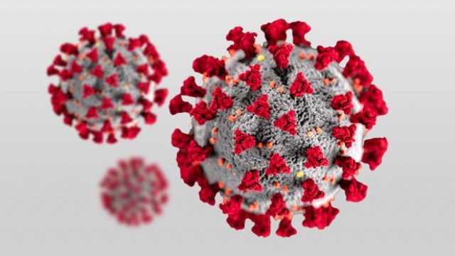 Mu tiene una serie de mutaciones que pueden reducir la capacidad neutralizante tanto de suero convaleciente como de vacunas.