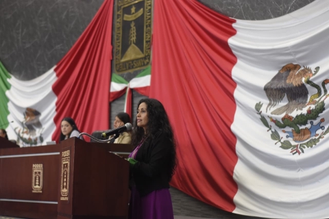 Crece violencia feminicida: Andrea Acevedo 