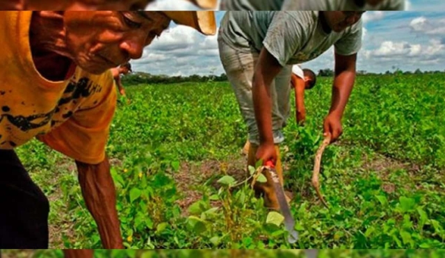 Exhortan a municipios a colaborar en censo agropecuario