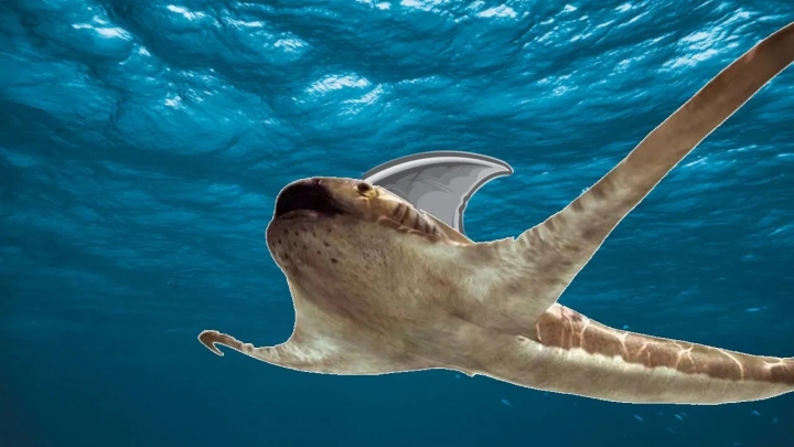 La especie de tiburón que recorrió mares mexicanos hace millones de años
