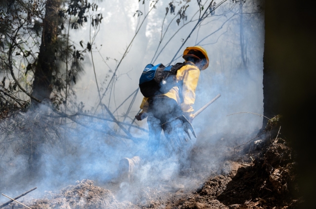 Detalla EEMI reporte actual de incendios forestales en Morelos
