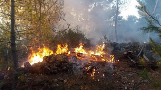 Se incrementan los incendios en el municipio de Puente de Ixtla