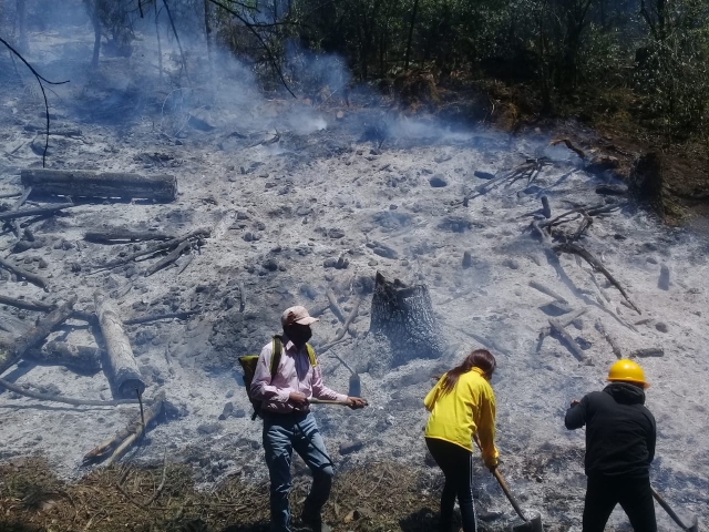 100% de control y liquidación en incendio forestal en paraje &#039;La Gloria&#039;: EEMI