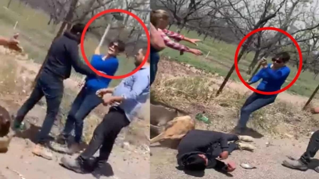  Lady Azadón: Mujer fractura el cráneo de un joven y golpea a un perro.