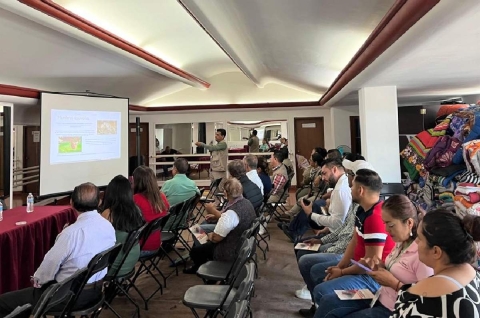 Preparan mercado “Cuautla” para certificarlo como espacio saludable