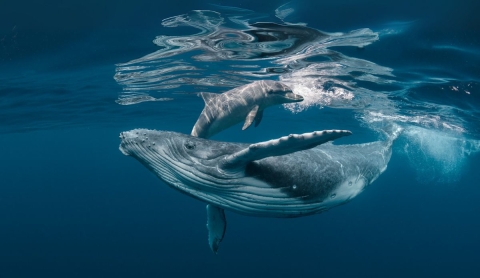 National Geographic/Mutua Intercomarcal