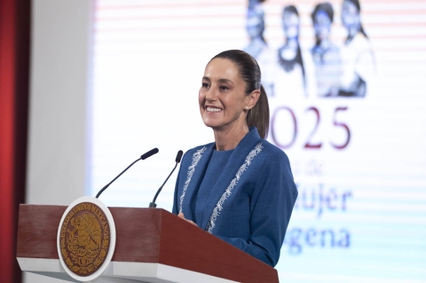 Sheinbaum expresó a Landau su rechazo a redadas contra migrantes en EU