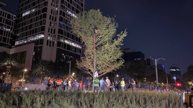 ¡&#039;Ahuehuetazo’!: Conductor choca contra glorieta del ahuehuete