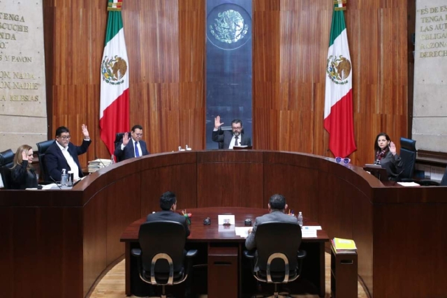 TEPJF valida decisi&oacute;n de Morena de renovar dirigencias estatales hasta 2027