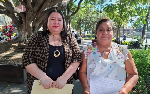 El exedil debe ser registrado en un padr&oacute;n de violentadores, relataron integrantes del Observatorio de Paridad y Violencia Pol&iacute;tica de Morelos. 