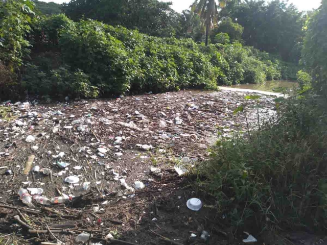 Desde hace semanas, en la barranca se ha estancado una gran cantidad de basura.