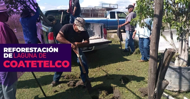  Los ejemplares fueron donados por las autoridades municipales de Coatetelco.