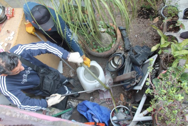 Captura PC Cuernavaca a una víbora en la colonia Flores Magón