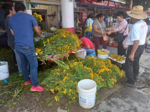 Este año se multiplicaron los puestos de flor de pericón en Jojutla debido a la buena temporada de lluvias. Las cruces se colocaron este domingo, para ahuyentar al mal.