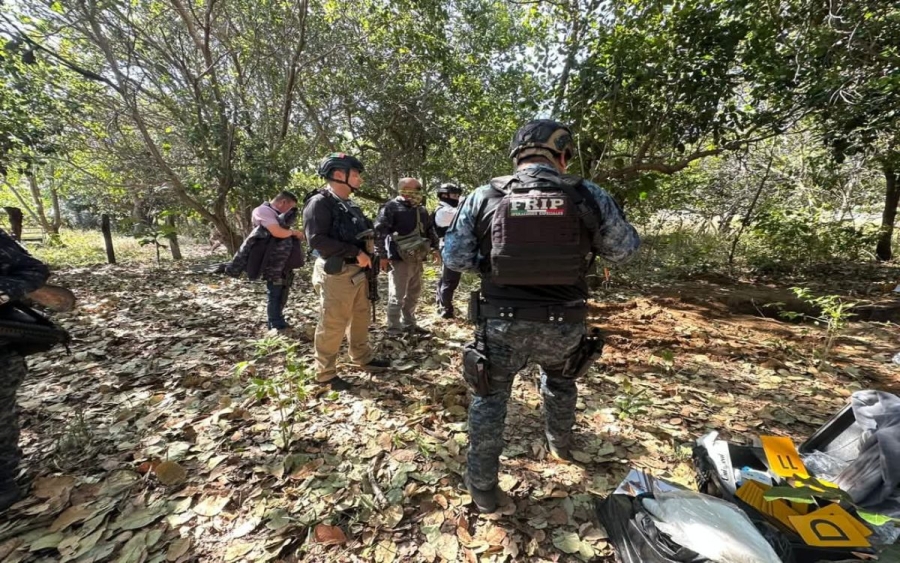 Suman 31 víctimas en 25 fosas clandestinas de Chiapas, informa Fiscalía