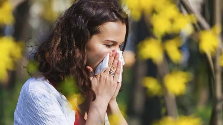 Alergia estacional: Remedios caseros para aliviar el malestar
