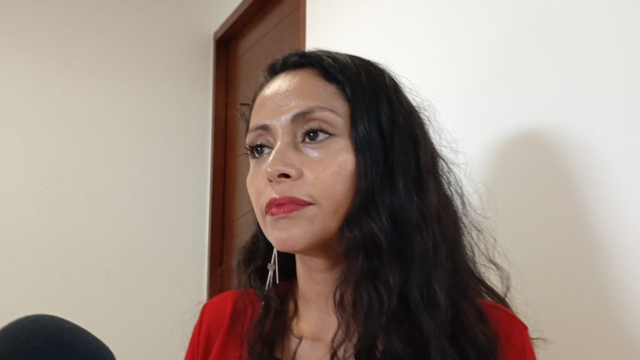 Suman 78 feminicidios en lo que va del año, señaló la organización civil Divulvadoras