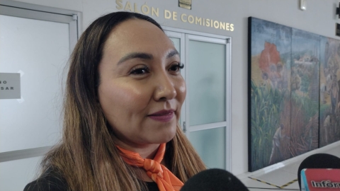 Presentar&aacute; diputada exhorto ante Segob para que se declare Alerta de Violencia de G&eacute;nero en los 36 municipios de Morelos