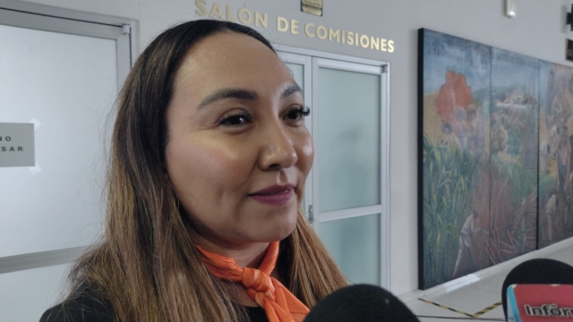 Presentar&aacute; diputada exhorto ante Segob para que se declare Alerta de Violencia de G&eacute;nero en los 36 municipios de Morelos