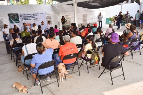 Continúa Ayuntamiento de Emiliano Zapata campaña de esterilización canina y felina
