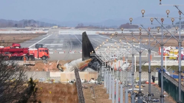 Informe confirma impacto de aves en motores del avión que se estrelló en Corea del Sur