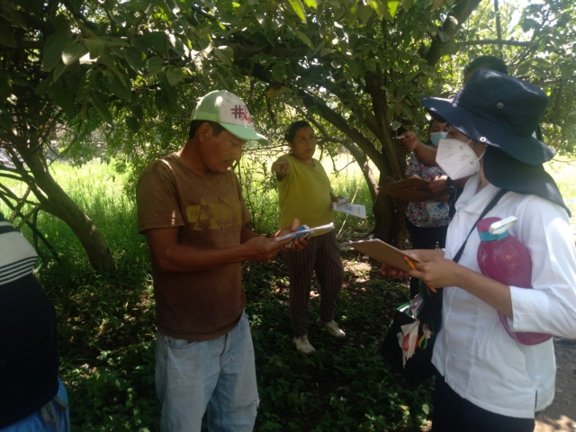 Acciones para prevenir dengue, zika y chikungunya en municipios afectados por las lluvias