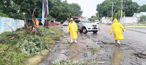 Fuertes lluvias y granizo afectan municipios de la región oriente