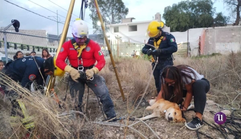 ¡Rescate increíble! Bomberos salvan a Crash, un perrito que cayó en un pozo de 8 metros