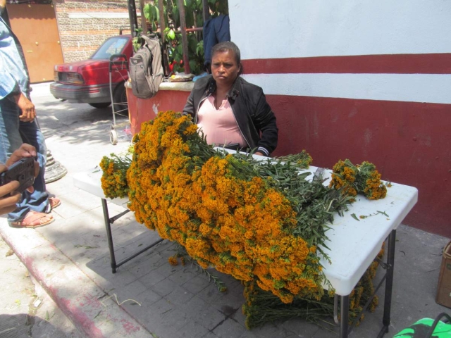   La tradición de colocar las cruces de pericón ha disminuido, pero las personas mayores aún la conservan y la demanda continúa.