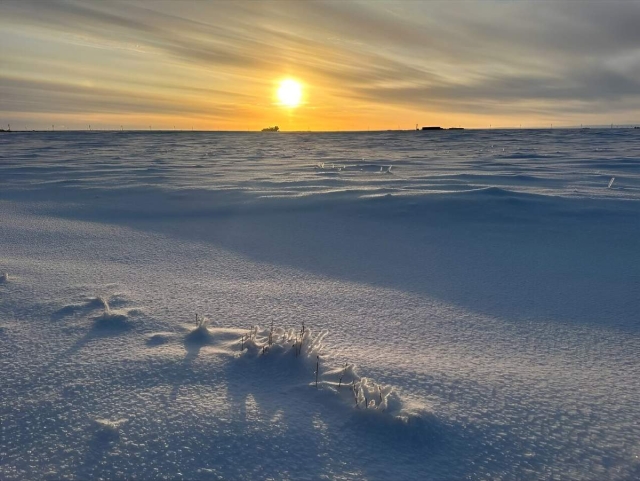 Persiguiendo la luz: un estudio encuentra nuevas  pistas sobre el calentamiento en el Ártico