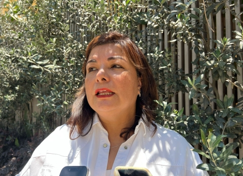 Diputada federal Meggie Salgado Ponce invita a niñas, niños y familias a celebrar el Día de la Niñez