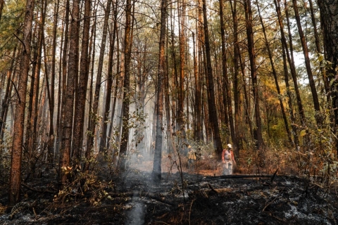 Informa SDS sobre trabajos de sofocaci&oacute;n de incendio forestal en Tlalnepantla
